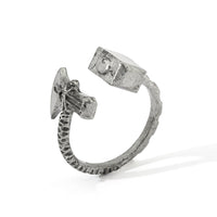 Geometric Rings